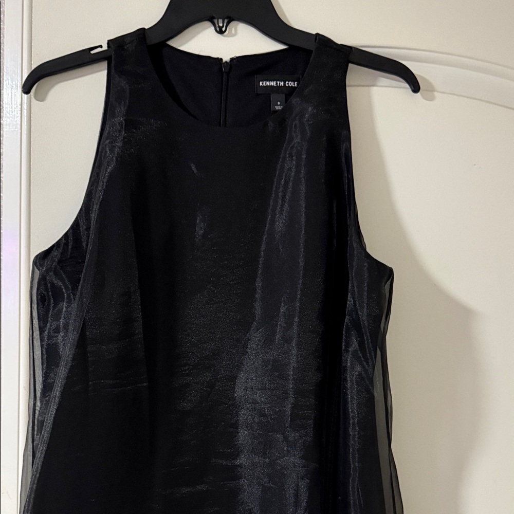 Black Sheer Overlay Dress